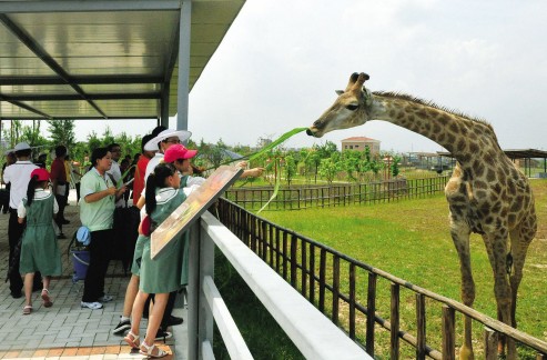 香市動物園