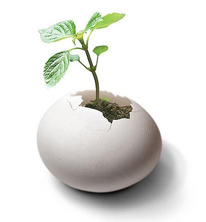 精密儀器創(chuàng)新突破